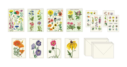 A Cavallini Papers &amp; Co Wildflowers Stationery Set featuring correspondence cards with illustrations of various colorful wildflowers.