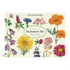 A Cavallini Papers & Co Wildflowers Stationery Set featuring correspondence cards with illustrations of various colorful wildflowers.