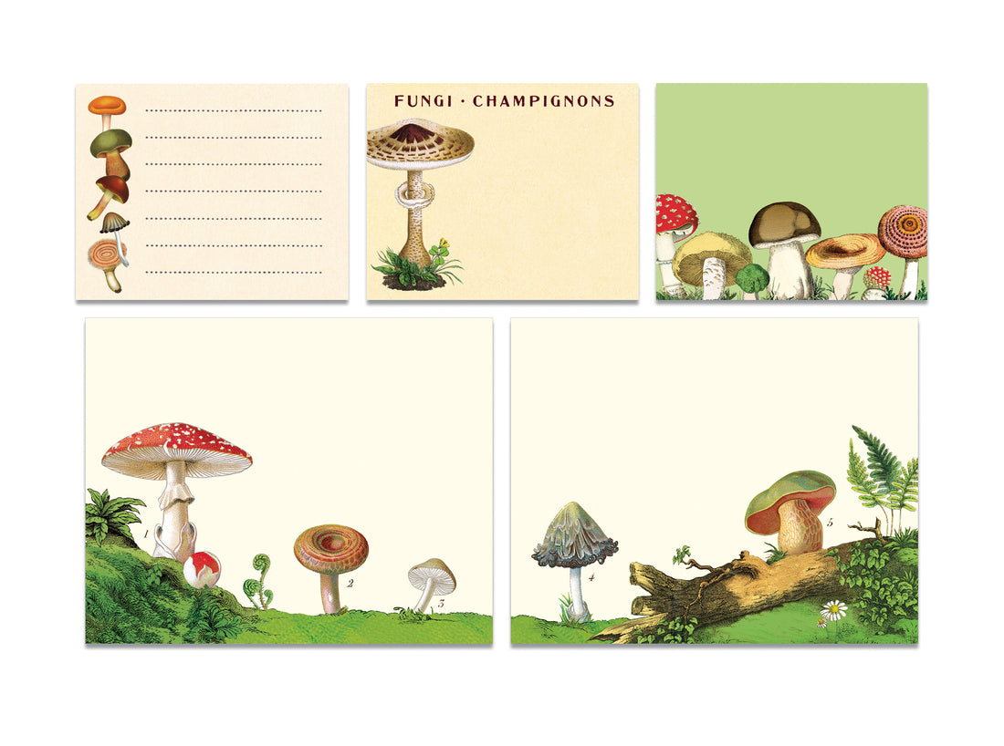 A tin of Cavallini Papers &amp; Co Mushroom Sticky Notes with various mushroom illustrations.