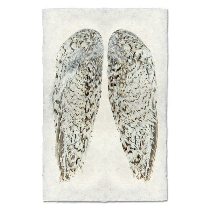 Artwork by Barloga Studios of a pair of snowflake quail wings. 