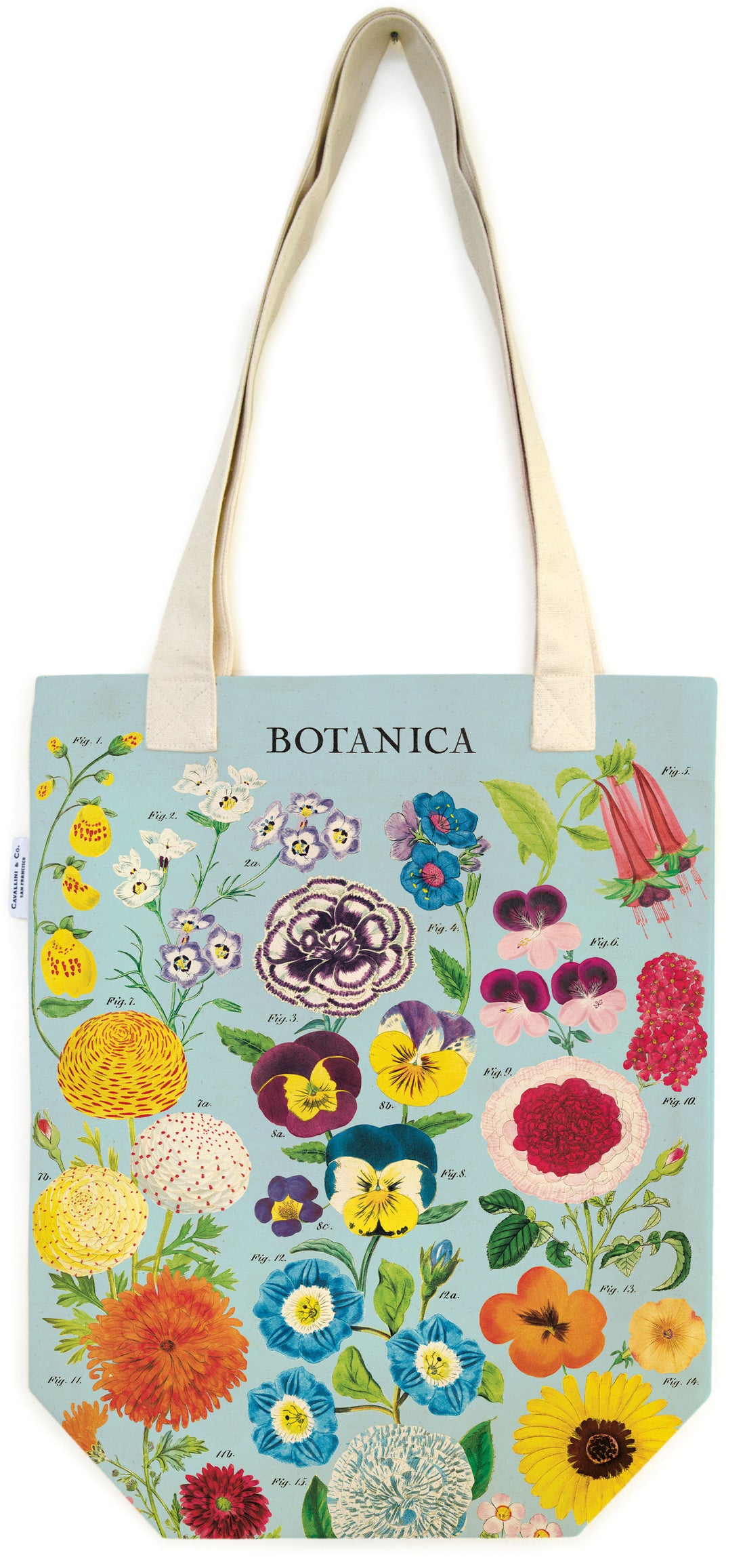 Tote bag with illustration of various botanica printed on it. 
