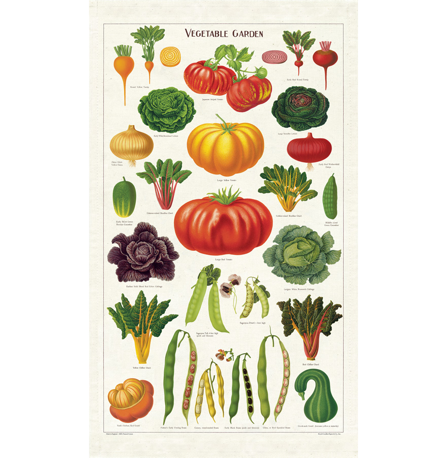 Vegetable Garden Tea Towel of various types of vegetables commonly found in a vegetable garden, by Cavallini Papers &amp; Co.