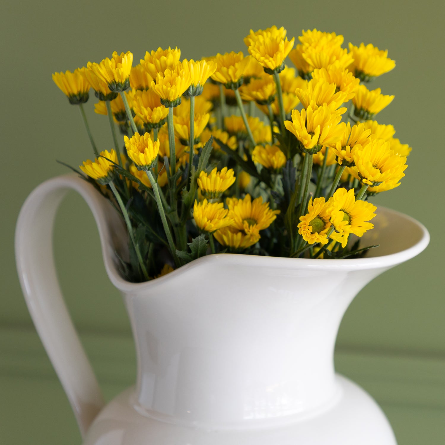 White pitcher filled with yellow flowers on a green background.