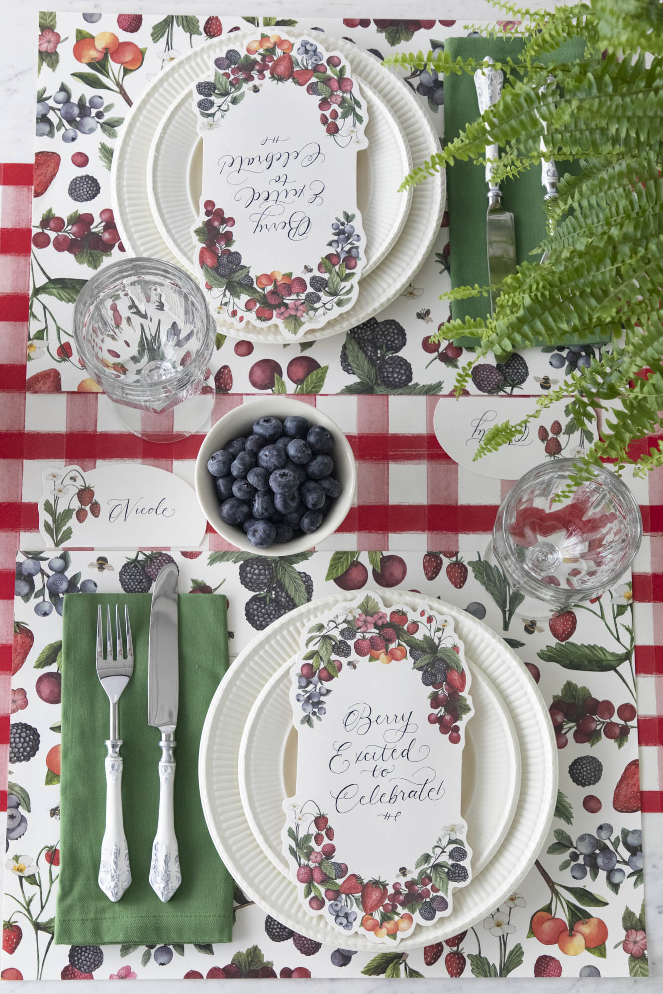 A picnic table with Wild Berry Placemats and a cutlery set up in a summer setting, featuring Hester &amp; Cook accents.