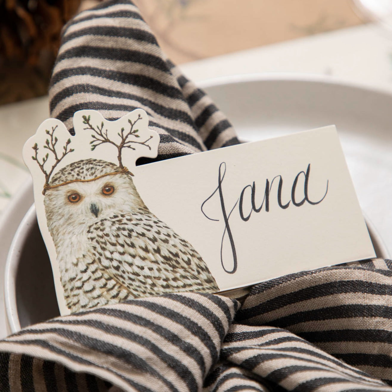 Winter Owl Place Card Hester & Cook