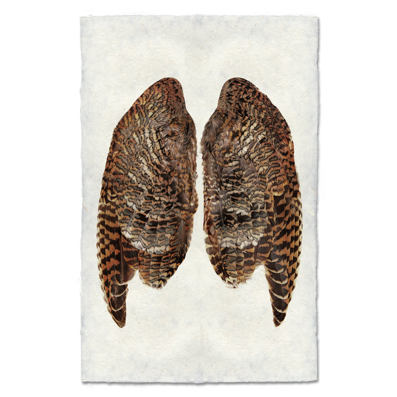 Artwork by Barloga Studios of a photograph of a woodcocks wings. 