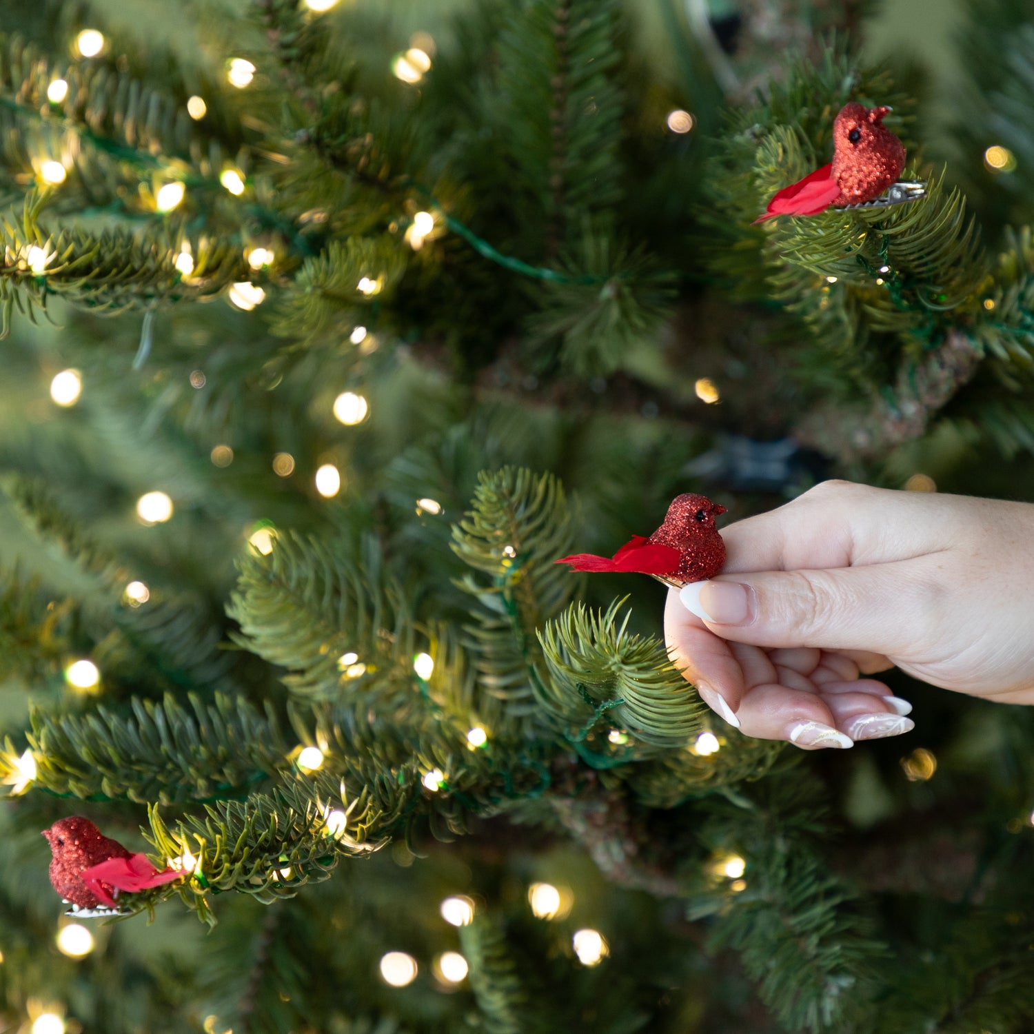 Hand holding a red bird ornament in front of a decorated Christmas tree with lights.