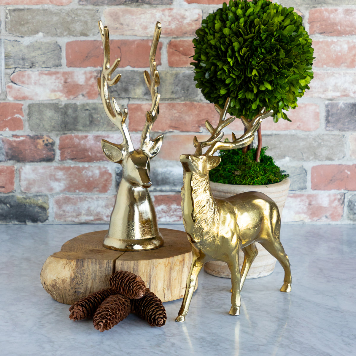 Gold Finish Cast Aluminum Reindeer Head