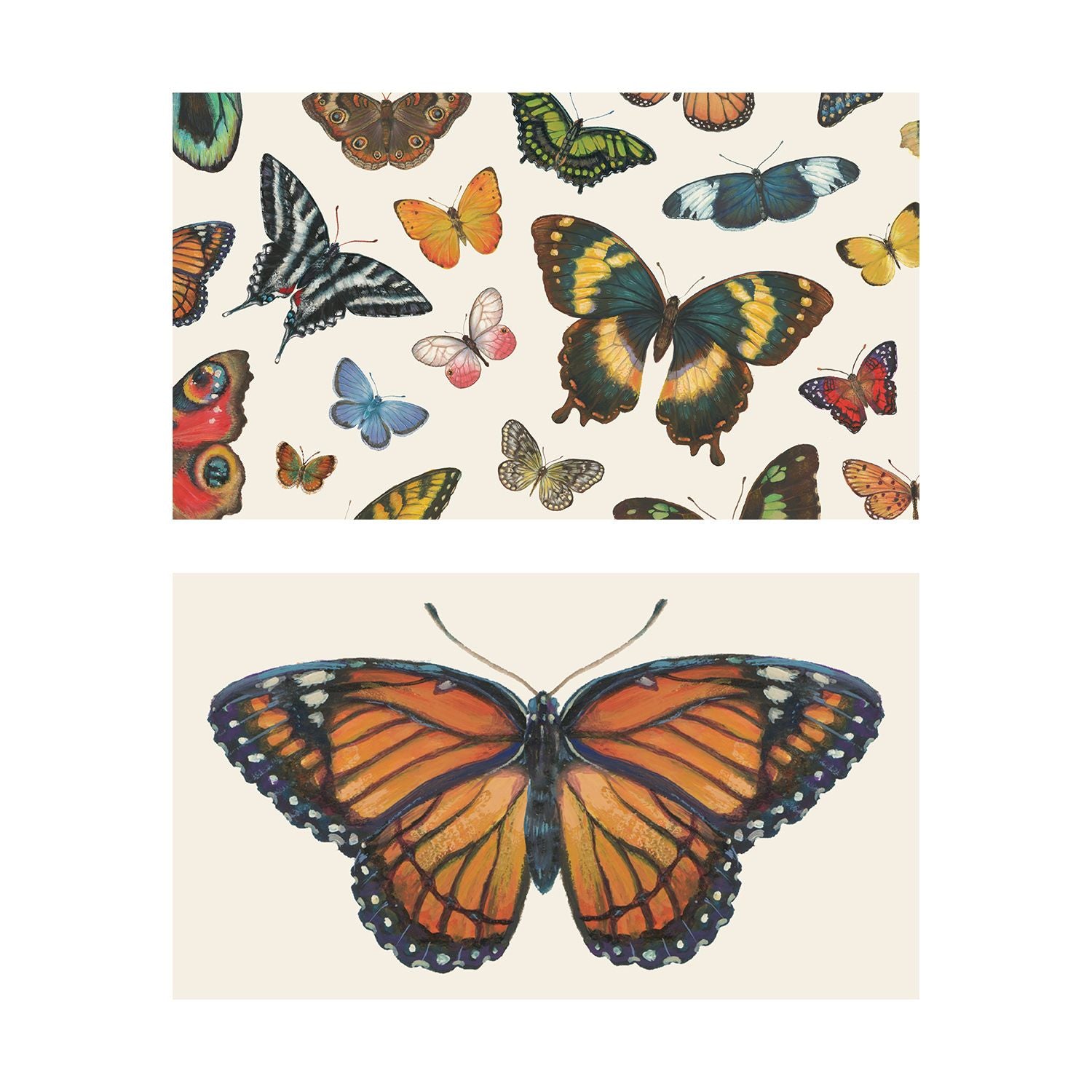 Two illustrated note card designs on a cream background. The top card features an all-over pattern of various detailed butterflies in multiple colors, shapes, and sizes. The bottom card has a clean layout showcasing a single, large orange and black monarch butterfly centered beautifully on the card.