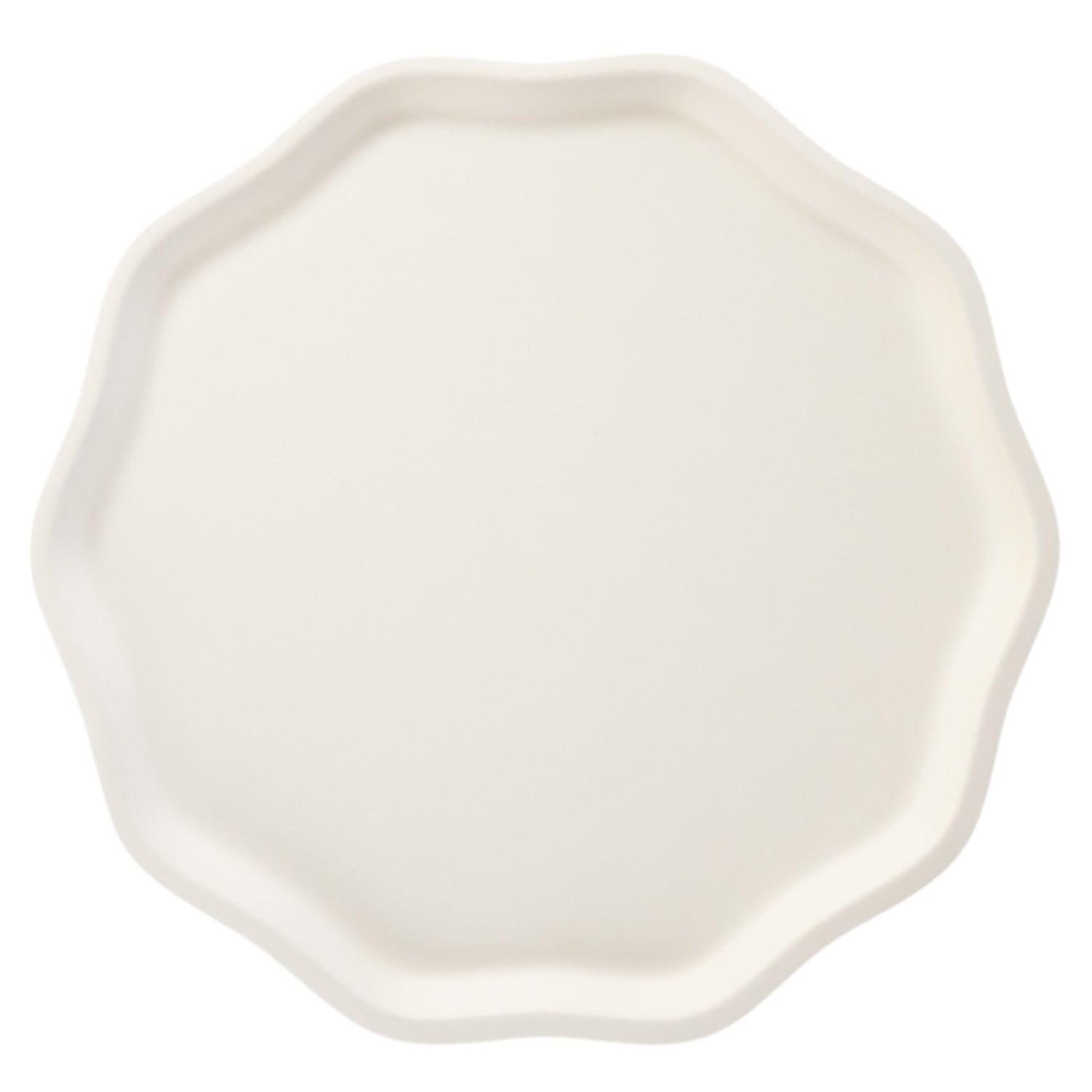 White paper plate with a geometric shape on a white background.