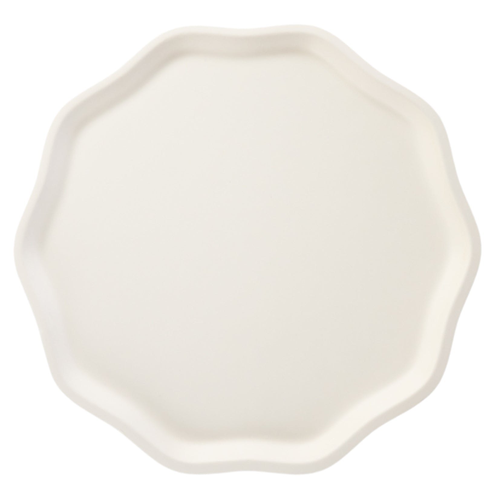 White paper plate with a geometric shape on a white background.