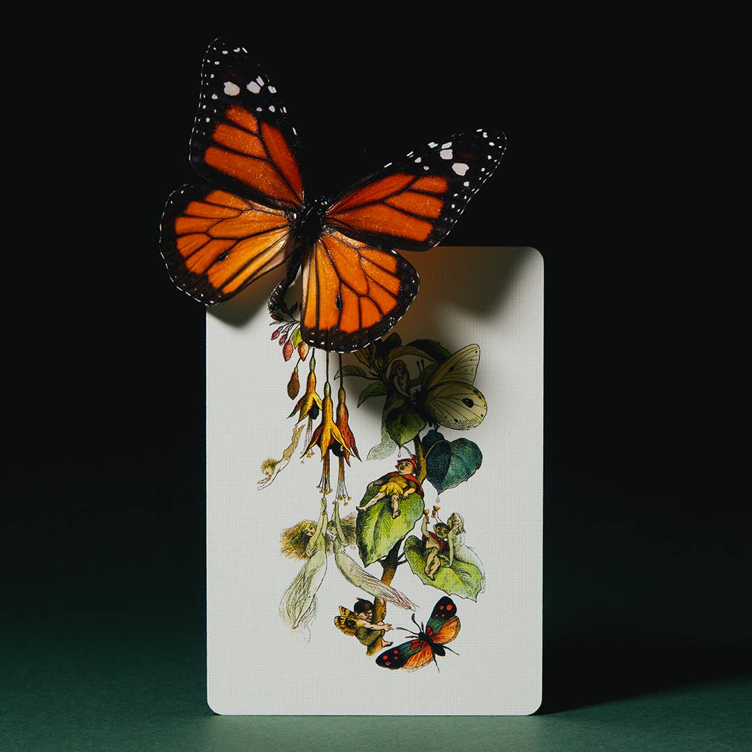 Butterfly design on a rectangular card with a black background