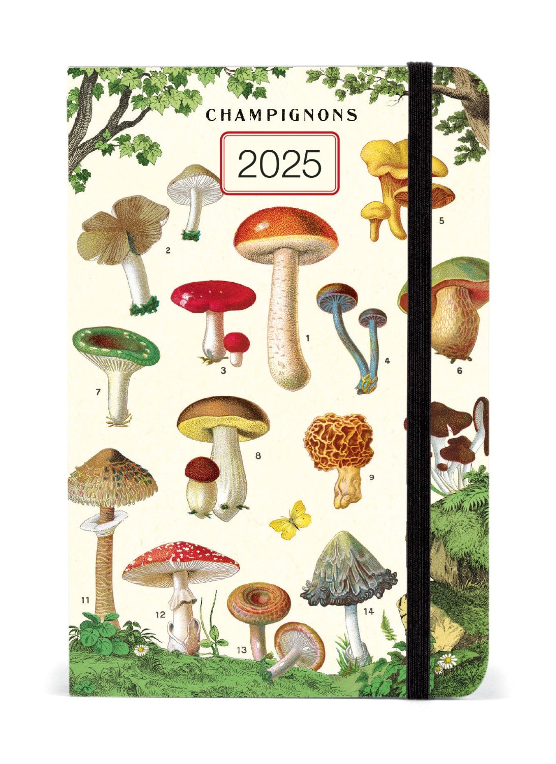 Mushrooms 2025 Weekly Planner