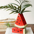 Watermelon-shaped ceramic vase with green plant on a wooden surface