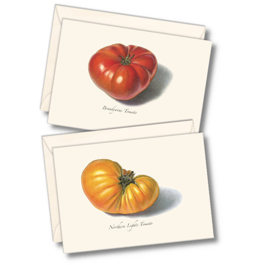 Tomato Assortment Boxed Set of Cards