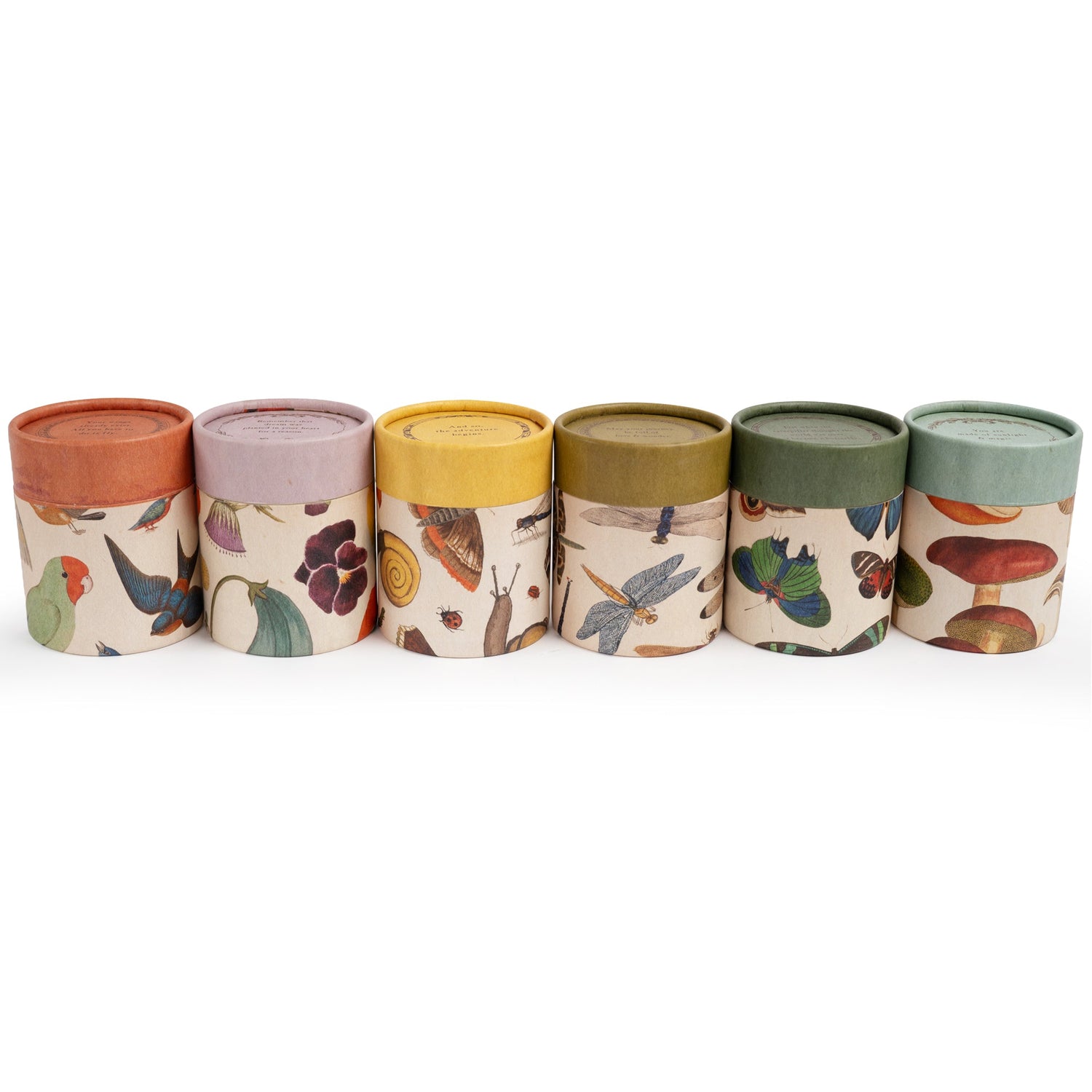 Set of six cylindrical containers with colorful animal-themed labels on a white background.