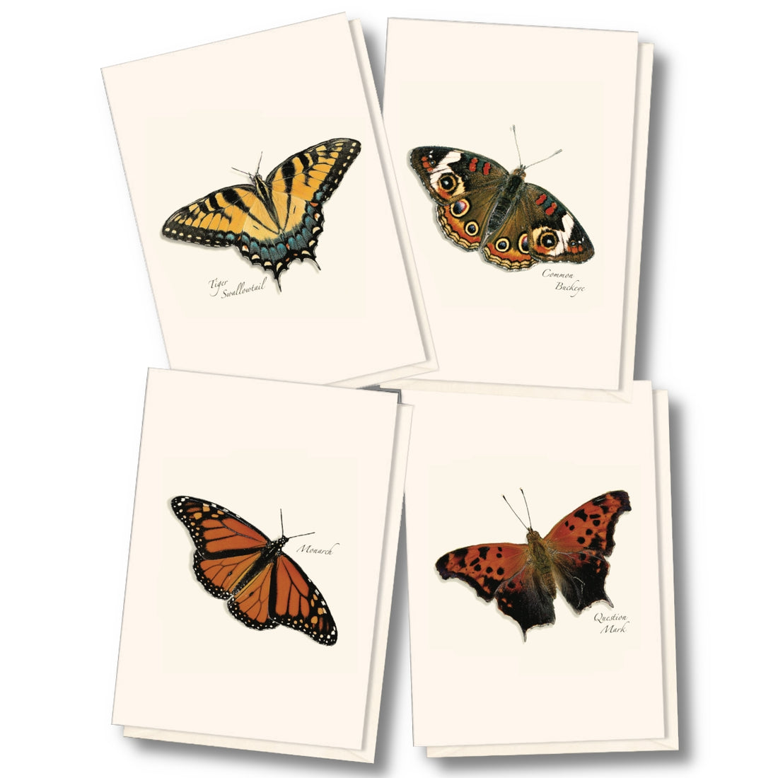 Flat lay of all 4 butterfly cards