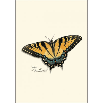 Tiger Swallowtail butterfly card