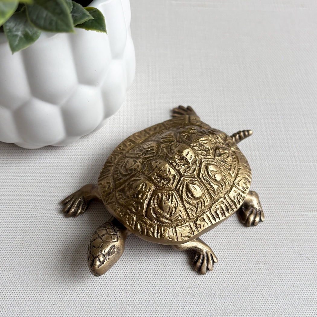Bronze turtle figurine on a light gray surface with a white planter in the background