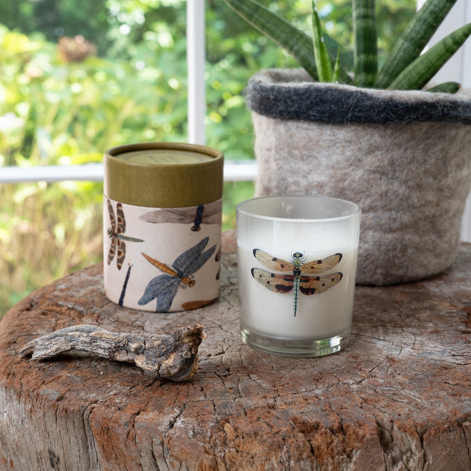 Candle with dragonfly design on a wooden surface with a plant in the background.
