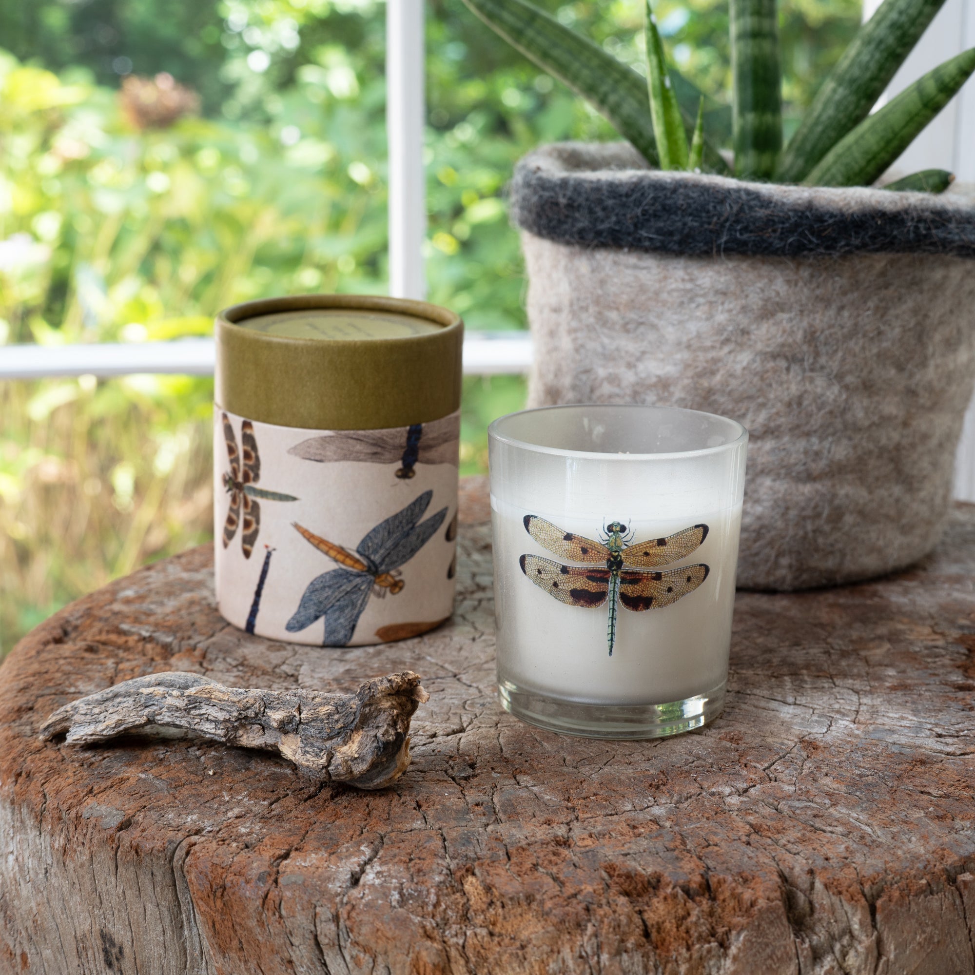 Candle with dragonfly design on a wooden surface with a plant in the background.