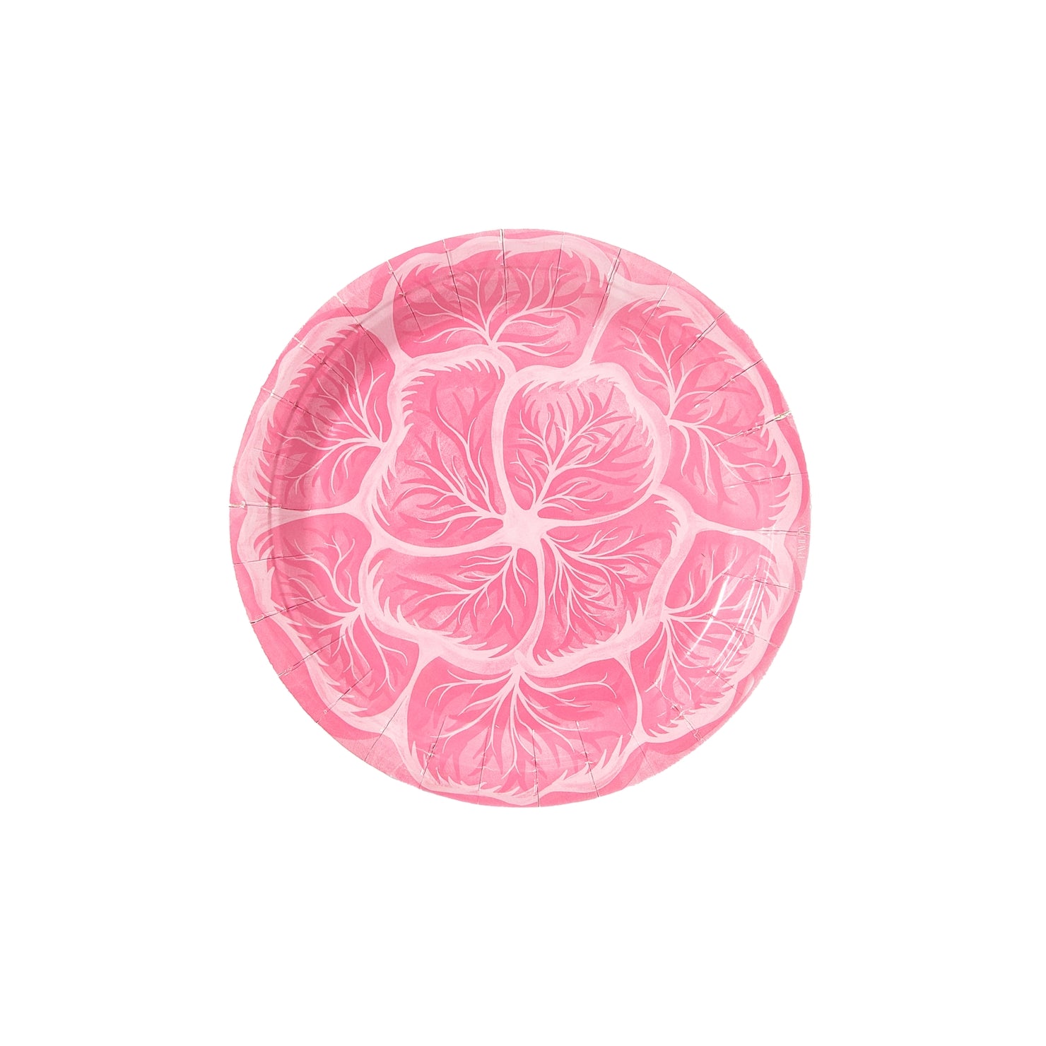 Pink cabbage paper plate on a white background.