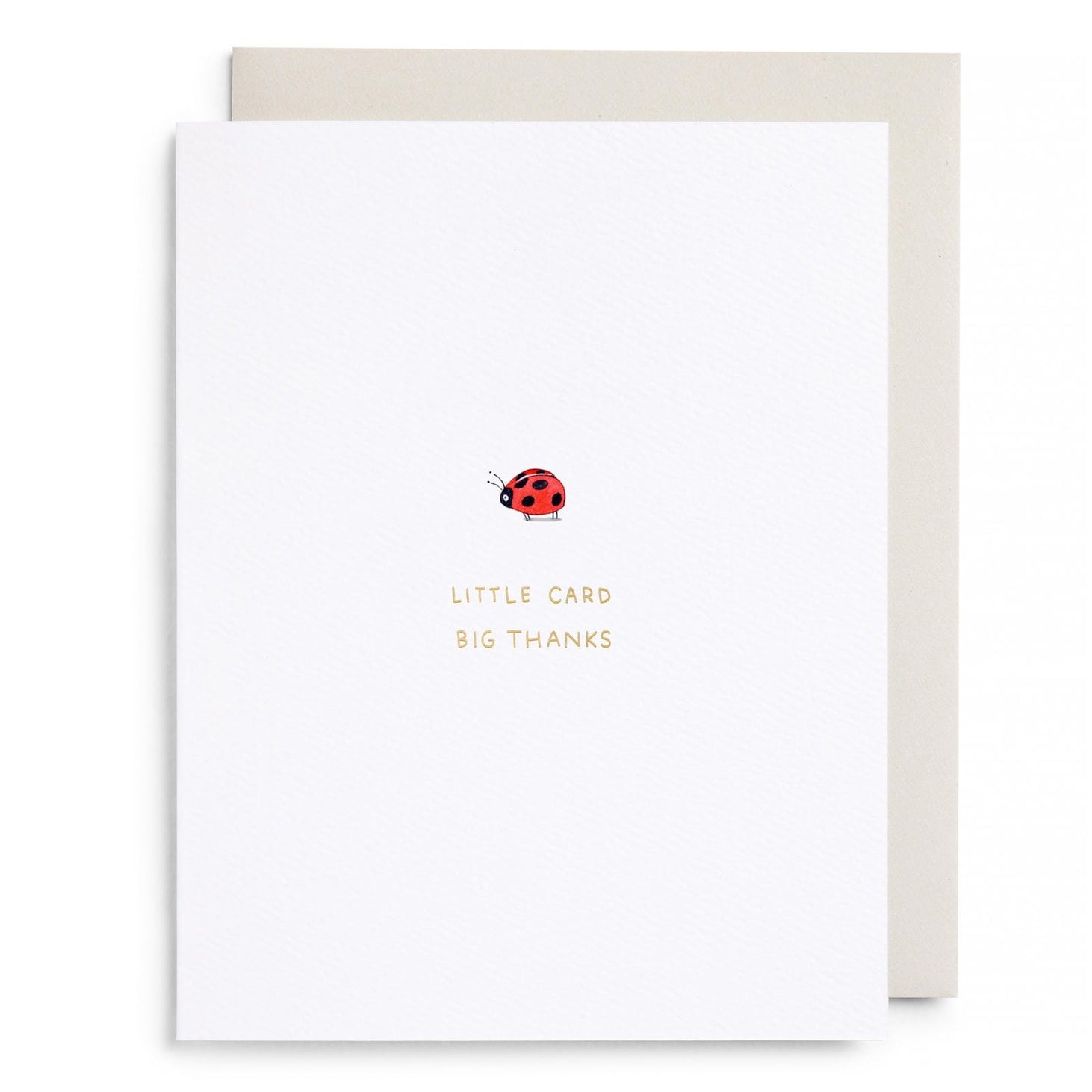 Greeting card with a ladybug illustration and text &