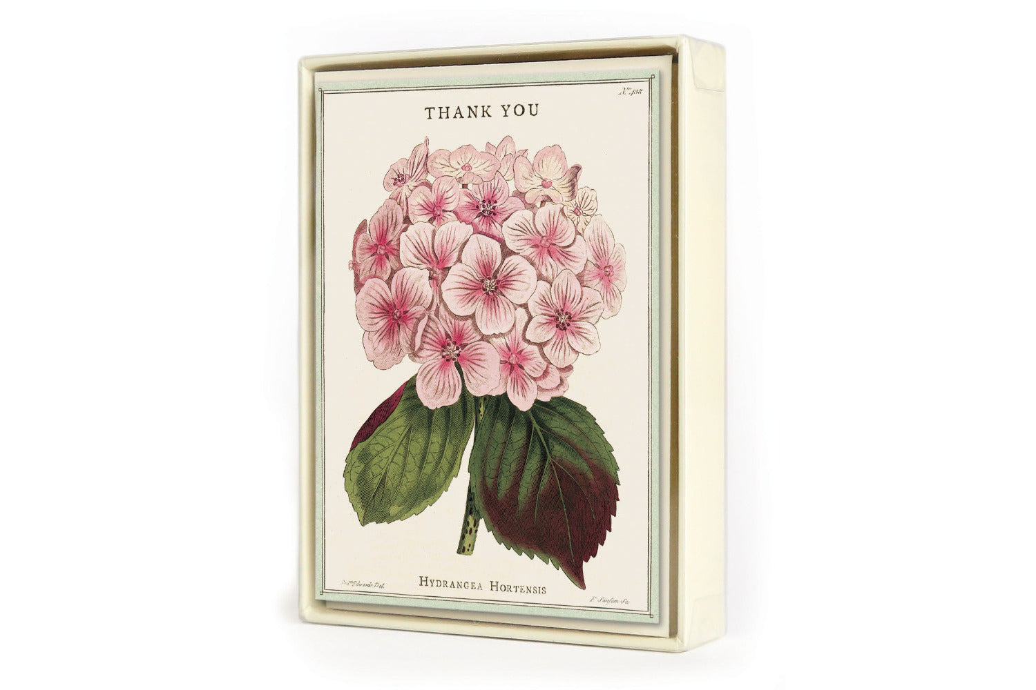 Thank You Fleur Notecards Set of 10