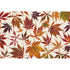 A cream Hester & Cook paper placemat covered in a spray of fall maple leaves in vivid reds, oranges and yellows. 
