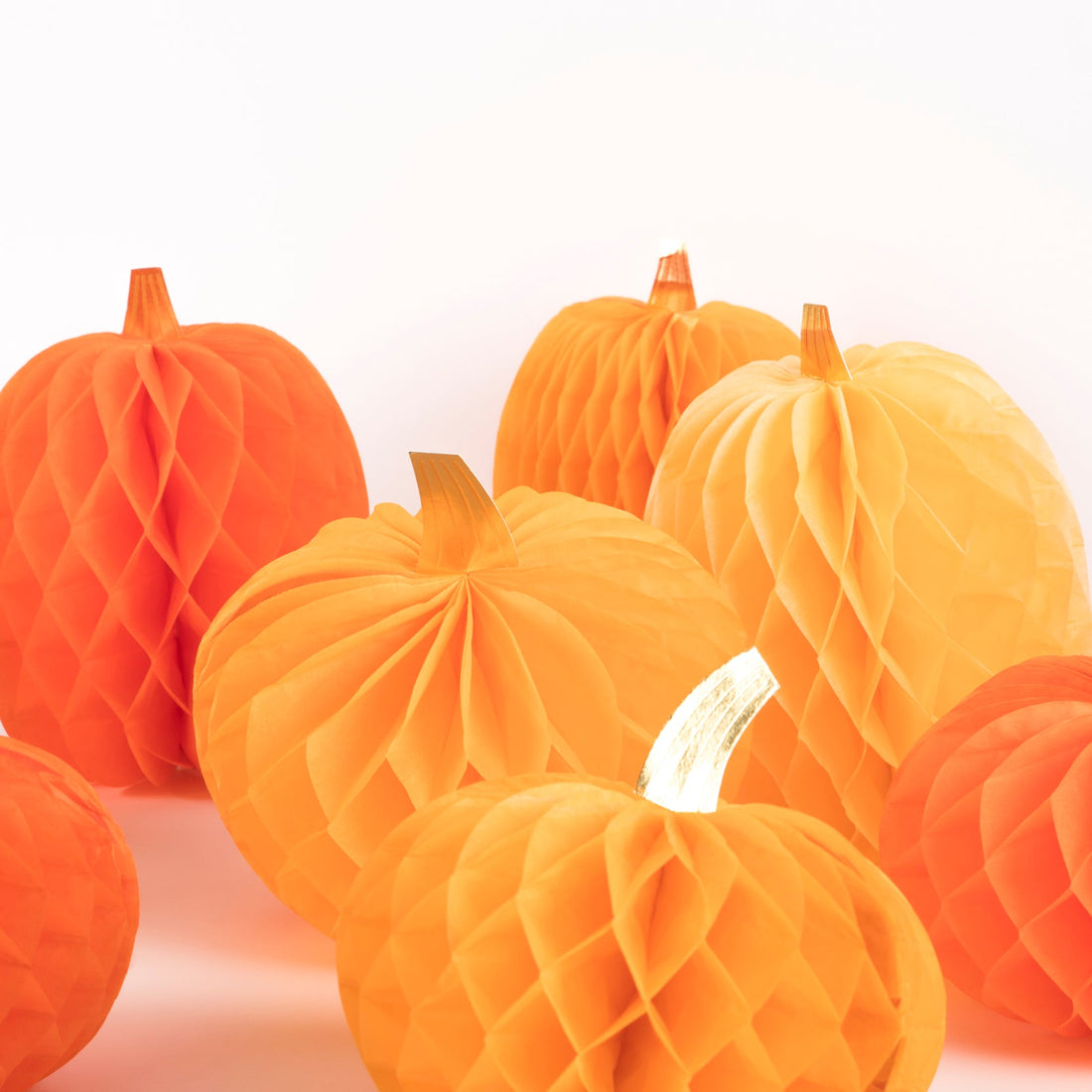 Close up of Honeycomb Pumpkins