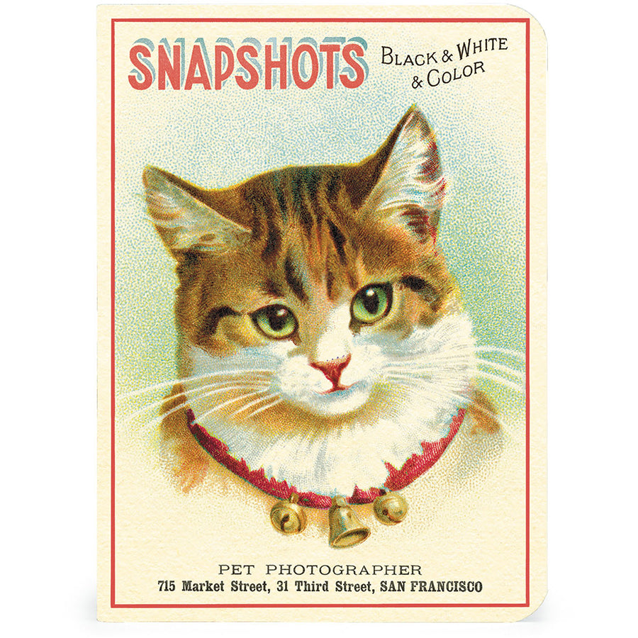 Vintage-style card with a cat wearing a red collar and text about pet photography.