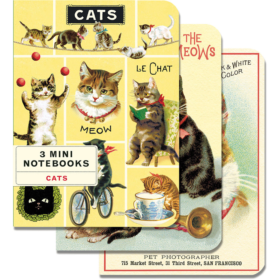 Set of three mini notebooks with cat illustrations on a white background.