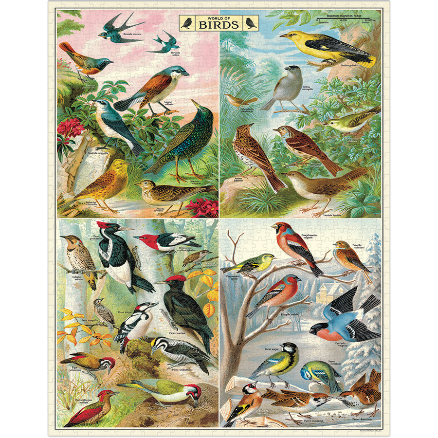 Poster of various birds with labels on a white background