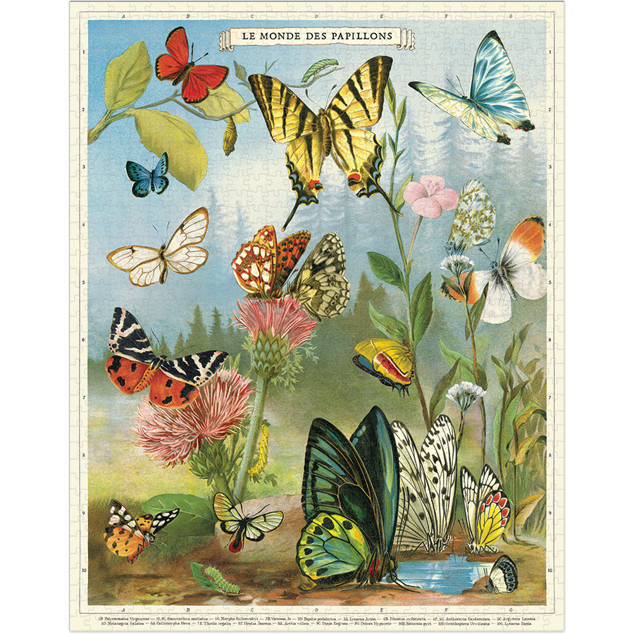 Vintage-style illustration of butterflies and flowers with a colorful background.