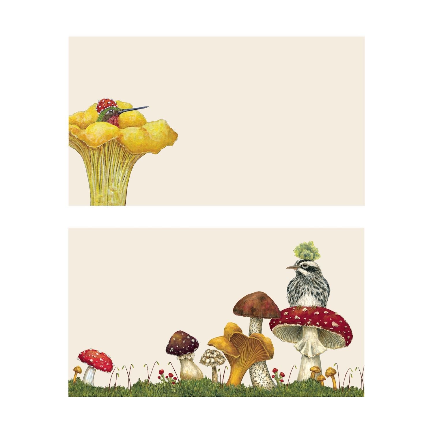 Two illustrated note card designs on a cream background. The top card shows a hummingbird wearing a tiny red mushroom hat inside a large yellow chanterelle mushroom. The bottom card features a variety of woodland mushrooms growing in green grass, with a small striped bird wearing a green moss hat perched on top of a red amanita mushroom.
