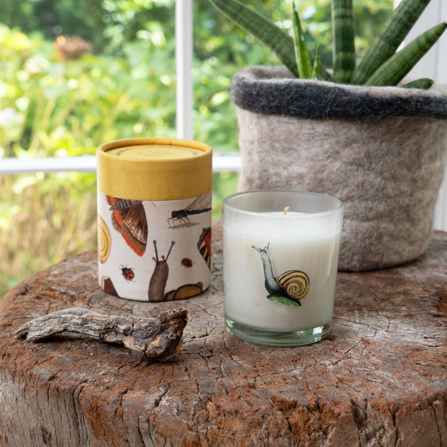 Candle with snail design on a wooden surface with a plant in the background.