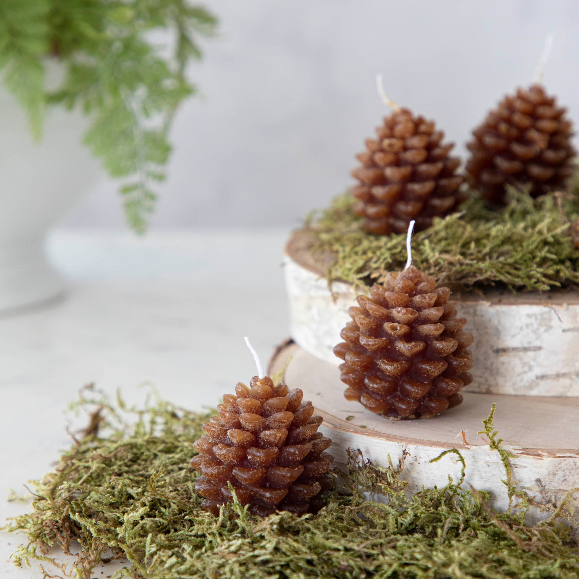 Pinecone Shaped Tealights, Set of 9