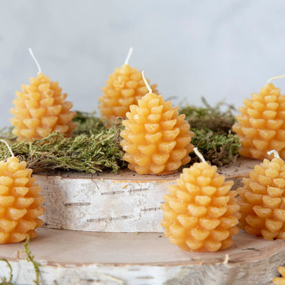 Pinecone Shaped Tealights, Set of 9