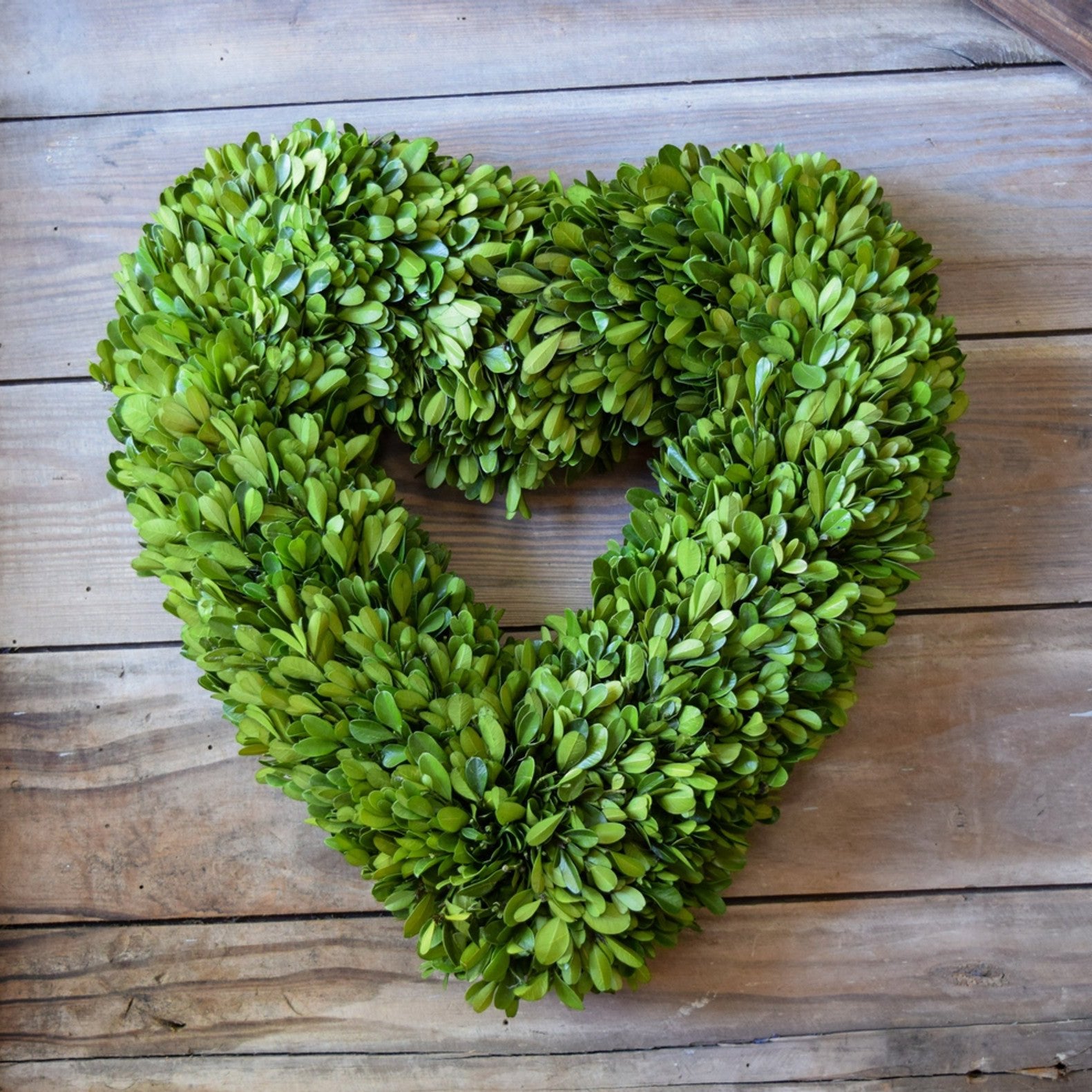 Boxwood Heart Wreath hanging on a wood wall.