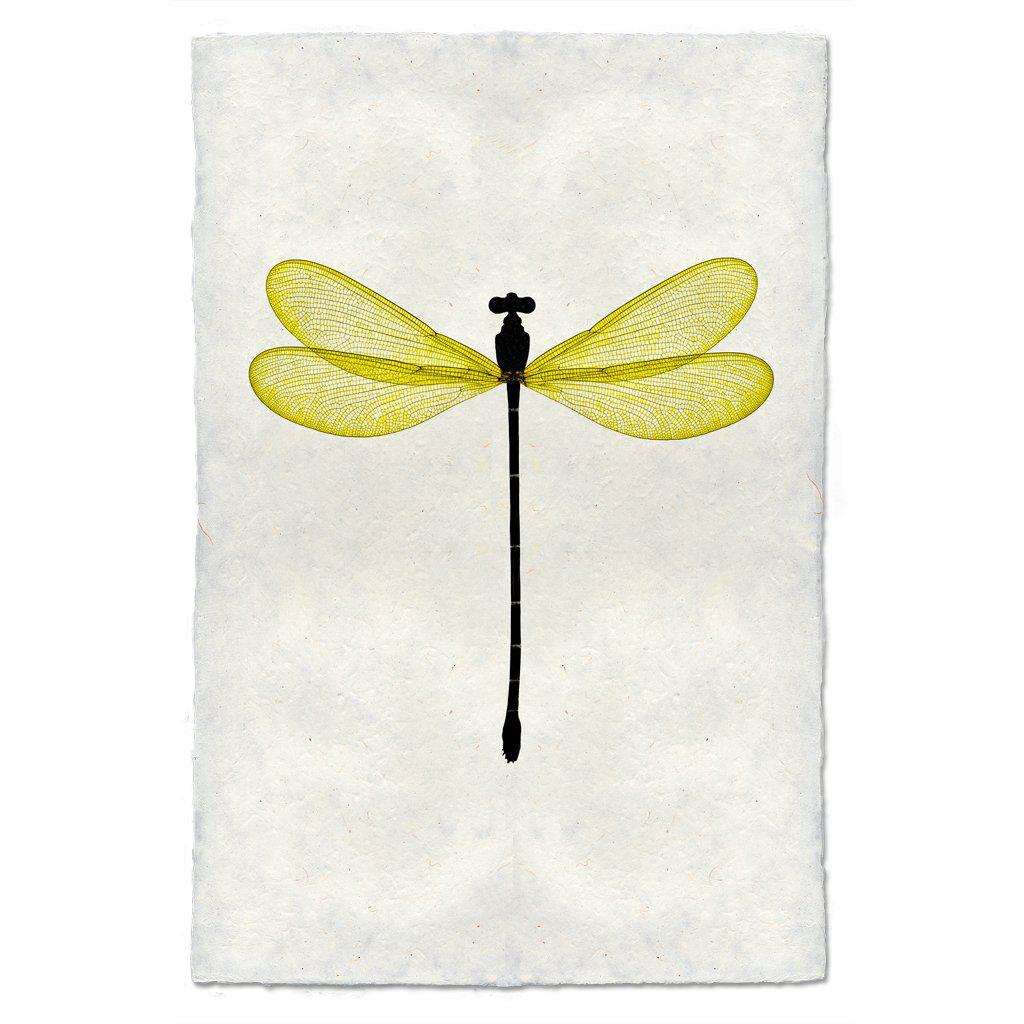 A fine art photograph of a Yellow Damsel Dragonfly by Barloga Studios.