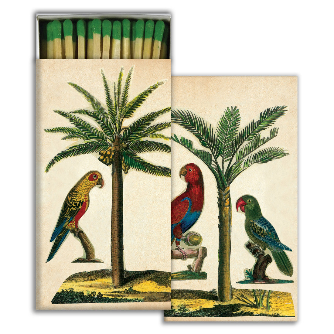 Illustrated HomArt Tropical Matches matchbox cover featuring tropical birds and palm trees.