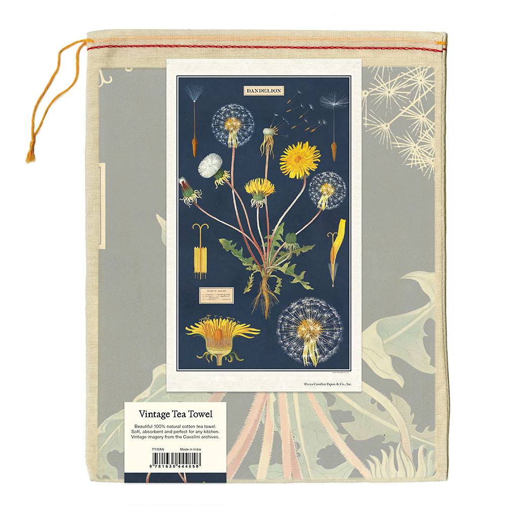 Botanical illustration on a natural cotton Cavallini Papers &amp; Co Dandelion Tea Towel, depicting the life cycle and anatomy of a dandelion.