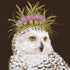 An illustration of an owl with a crown of purple flowers and greenery on its head, reminiscent of Paper Products Design&