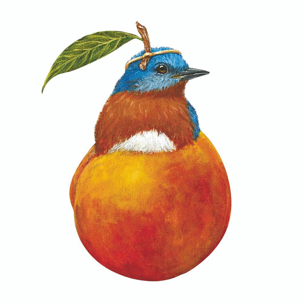 A bird with the body of a mango, blending flora and fauna in a whimsical Vicki Sawyer illustration on Paper Products Design Otto Beverage Napkins.