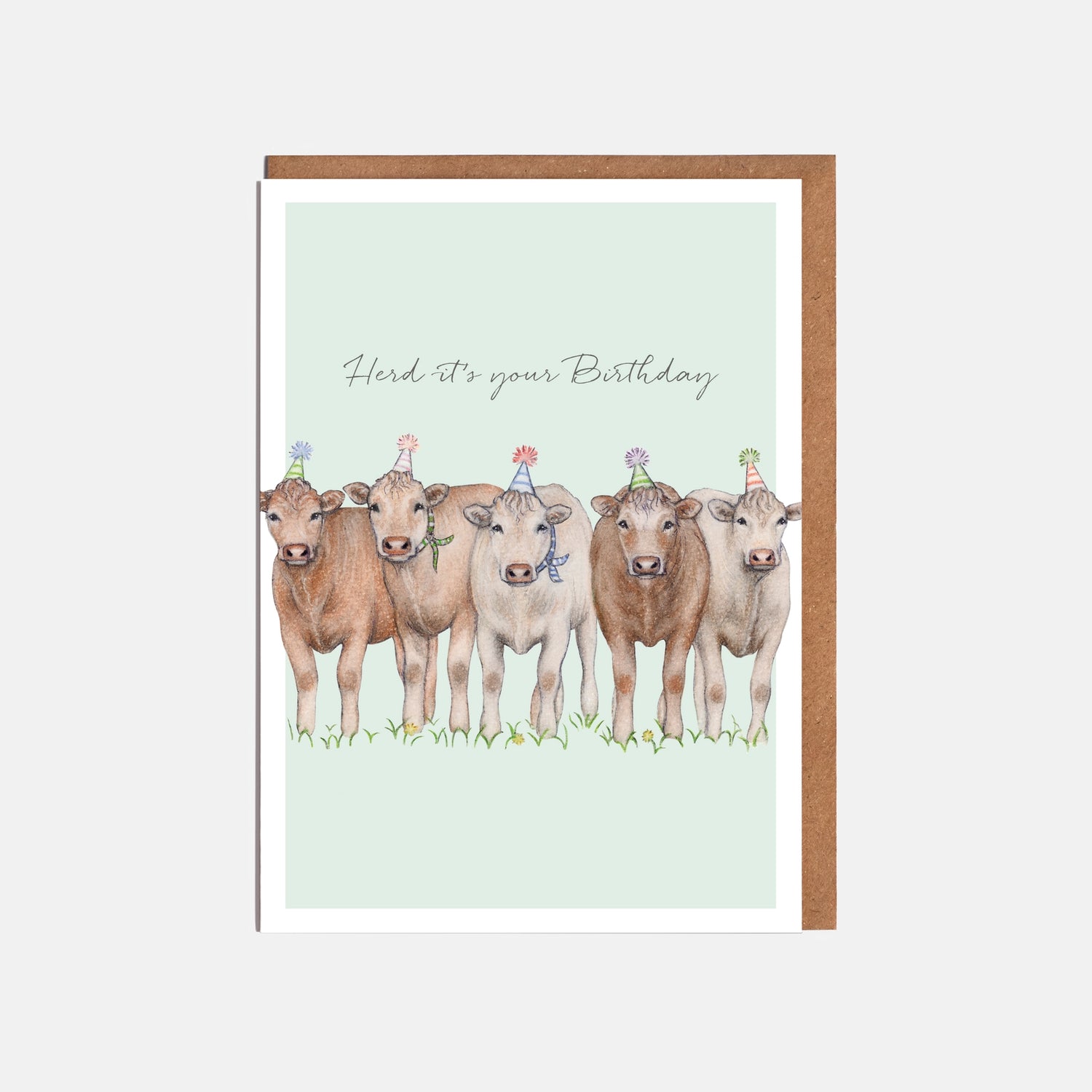 A Herd of Cows Birthday Card - &