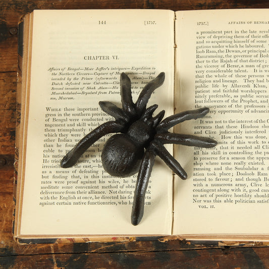 Cast Iron Spider in Antique Black