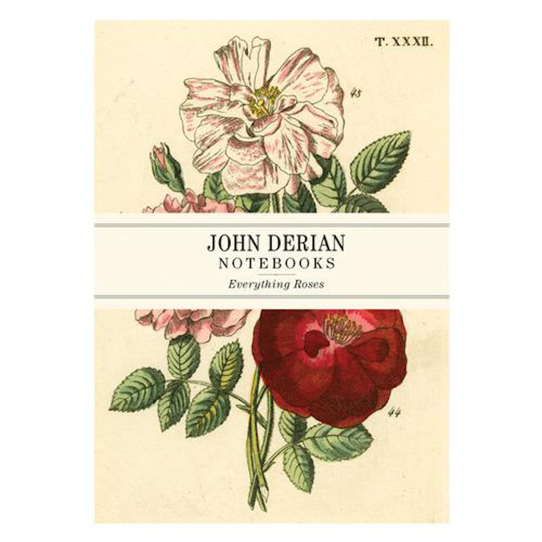 John Derian: Everything Roses Notebooks, Set of 3