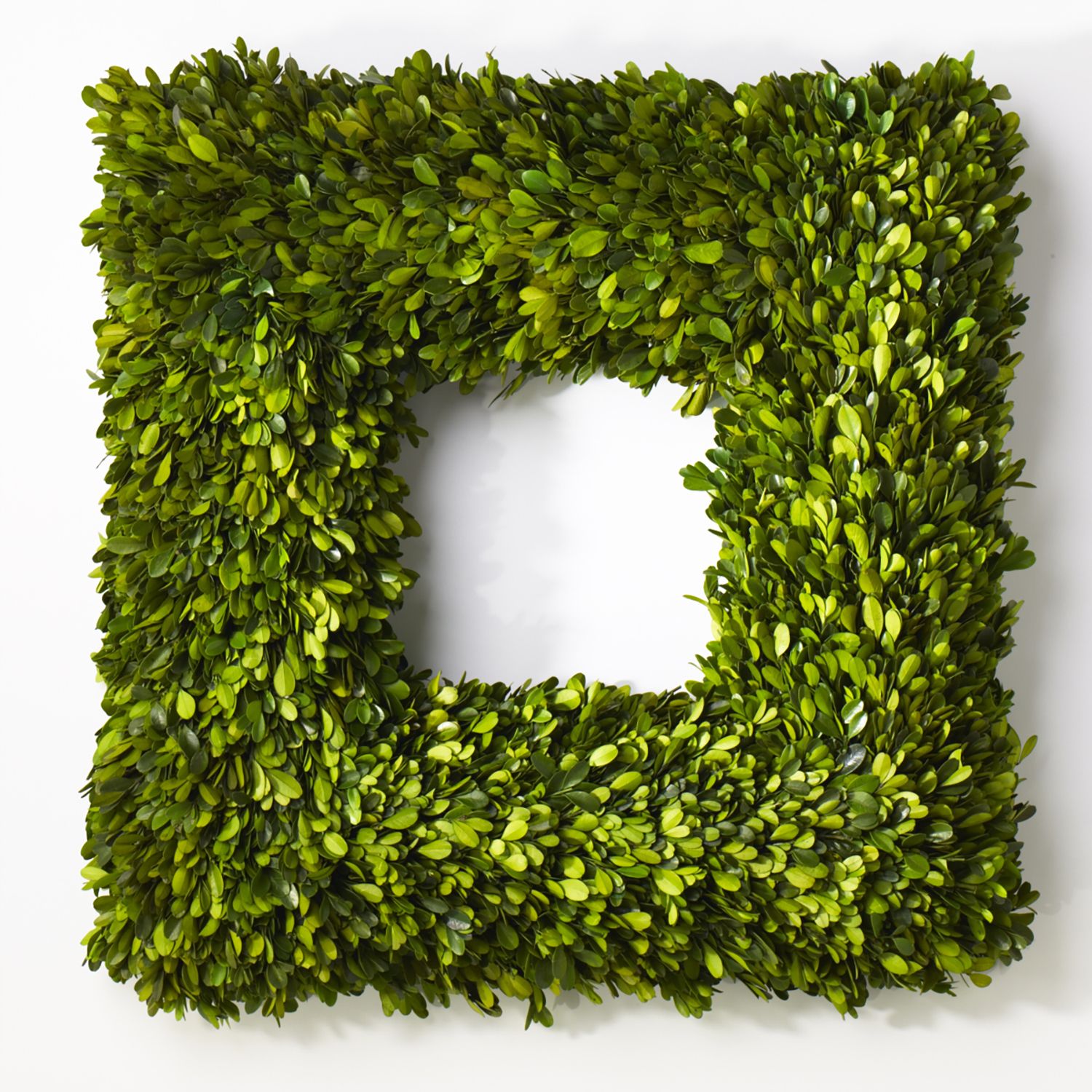 An assembled preserved boxwood wreath by Accent Decor on a white wall.