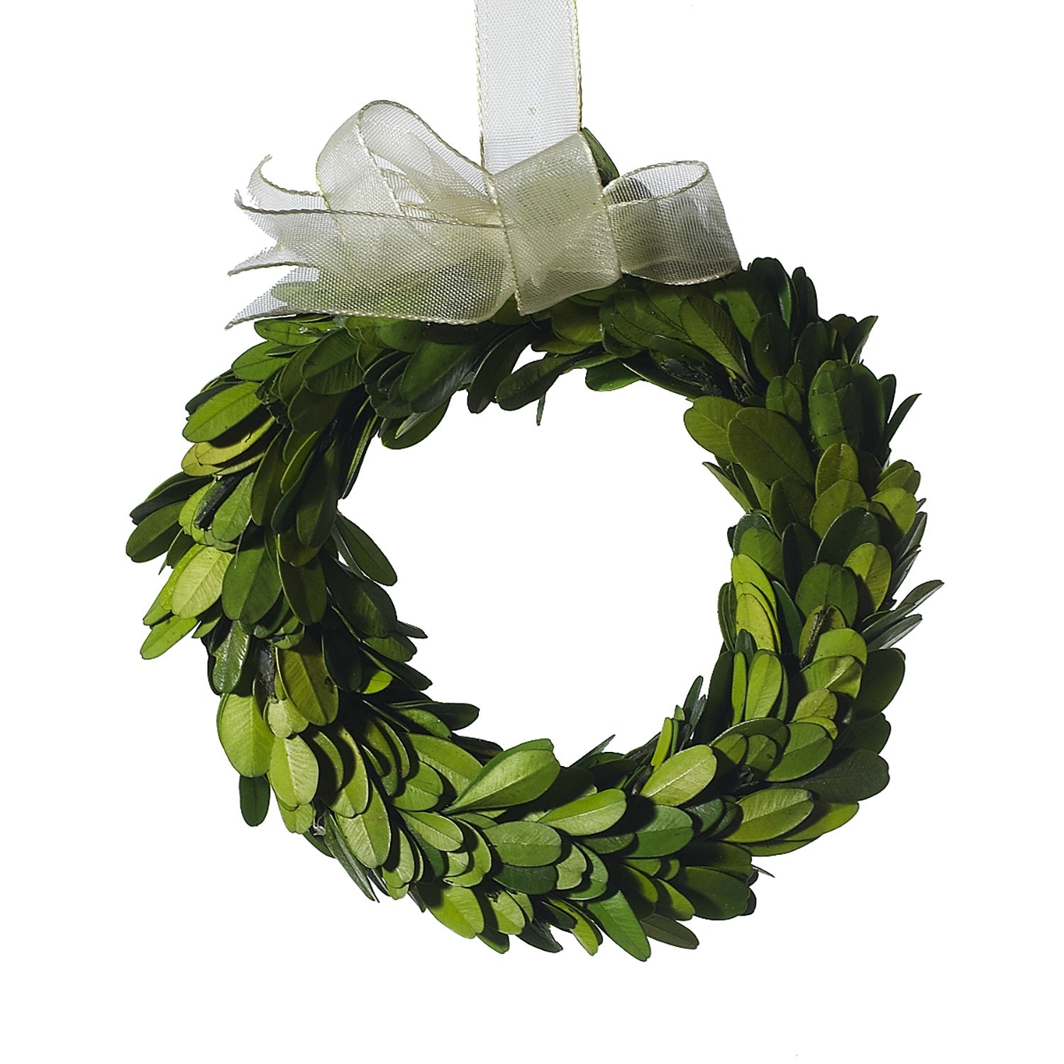 Mini Boxwood Circle Wreath – Hester & Cook