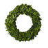 An Accent Decor preserved boxwood wreath on a white background.